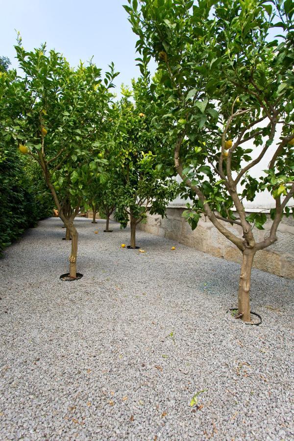 Boutique Rentals- Hidden Garden Porto'S Downtown Exteriér fotografie